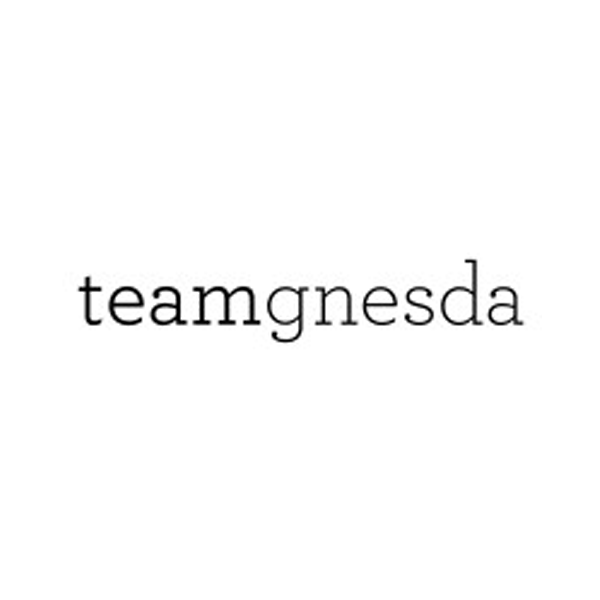 Team Gnedsa